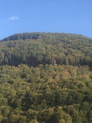Дома для отпуска Smerekovyi Dvir Поляна-1
